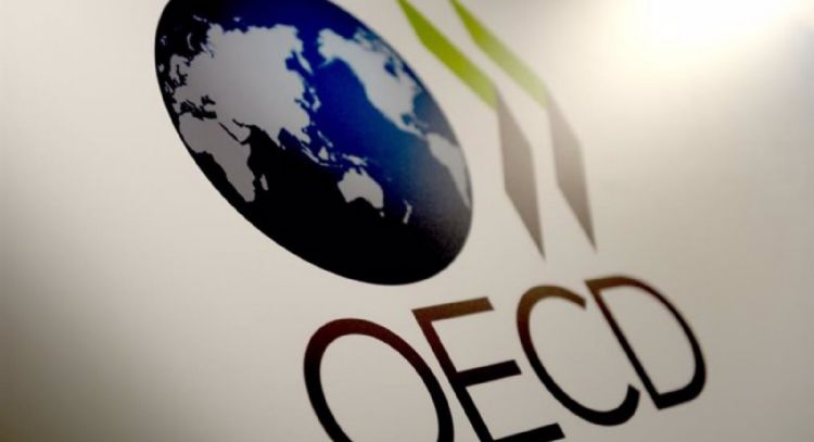 El PIB de la OCDE creció un 0,5% en el tercer trimestre, una décima más