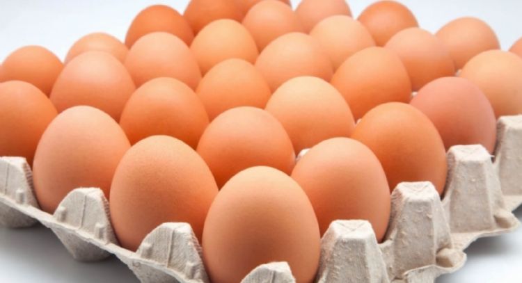 Retiran pepinos y huevos por posible contaminación con salmonela