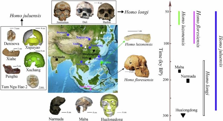 Posible nueva especie humana revelada en Asia