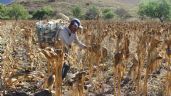 Foto ilustrativa de la nota titulada: Los ejidatarios están interesados en la legalidad de sus tierras