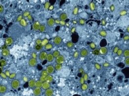 En 2030 más de mil millones de adolescentes tendrán mala alimentación, depresión y VIH: Lancet