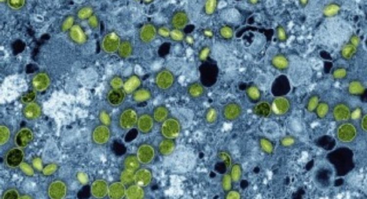 En 2030 más de mil millones de adolescentes tendrán mala alimentación, depresión y VIH: Lancet
