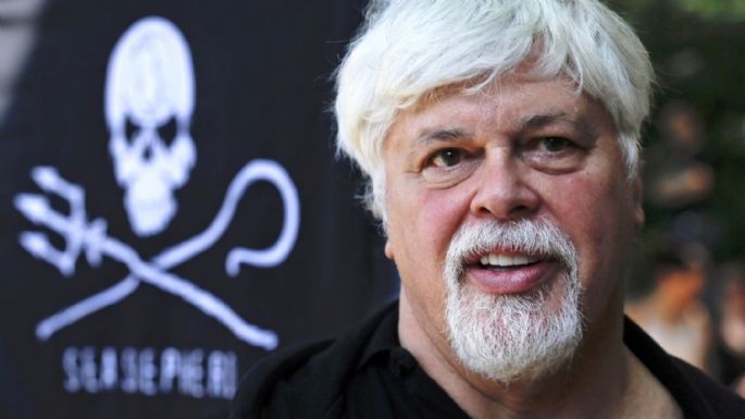 Dinamarca libera al activista contra la caza de ballenas Paul Watson y no lo extraditará a Japón