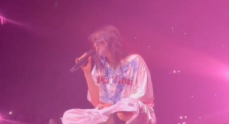 Golpean a Billie Eilish en la cara con un objeto durante un concierto (Videos)