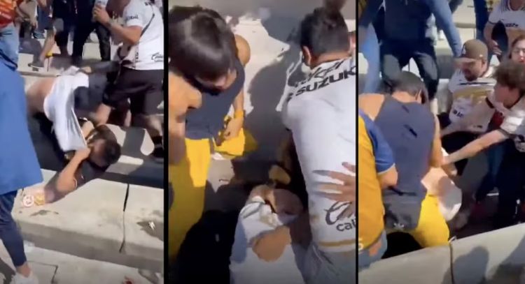 Captan pelea en gradas del Olímpico Universitario; Liga MX confirma detención de agresores (Videos)