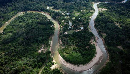 Sequía, incendios y deforestación azotaron la selva amazónica en 2024