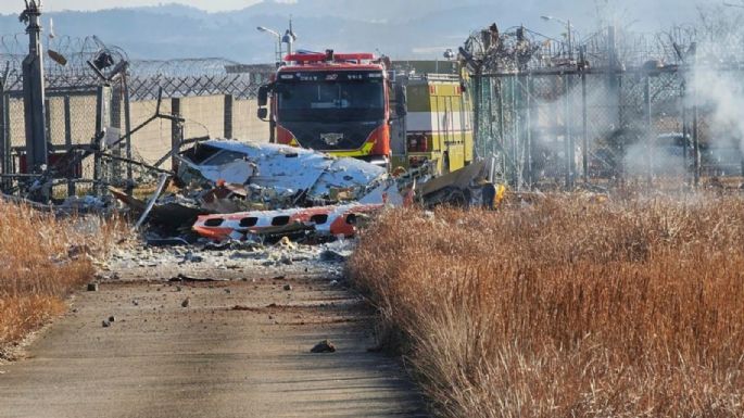 Al menos 23 muertos en un accidente de avión en el aeropuerto de Muan, en Corea del Sur (Video)