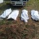 Hallan al menos 38 cuerpos en fosa clandestina de Zapopan; suman 223 bolsas con restos