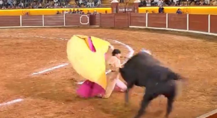El torero José Alberto Ortega sufre brutal cornada en la cara en Tlaxcala; lo reportan grave (Video)
