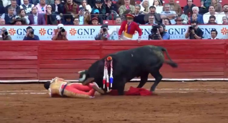 Toro “Heroico” atesta cornada al matador Héctor Gutiérrez en la Plaza México