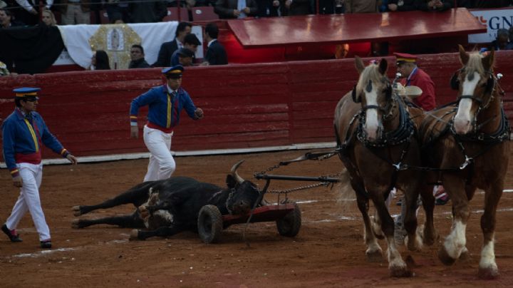 Tribunal revoca freno y da luz verde a las corridas de toros en la Plaza México
