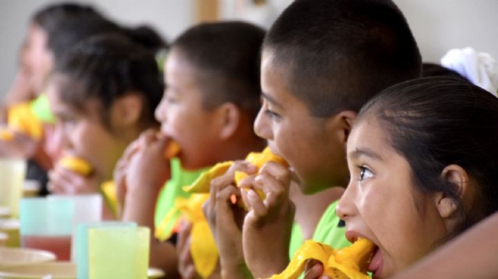 Urgen a la Cámara de Diputados a aprobar la ley de alimentación adecuada y sostenible