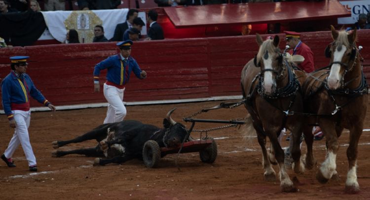 Tribunal revoca freno y da luz verde a las corridas de toros en la Plaza México