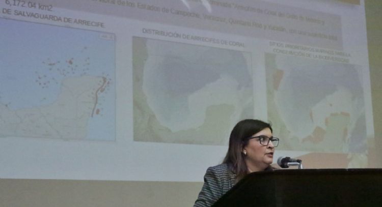 Exploran coexistencia entre arrecifes artificiales y extracción de hidrocarburos
