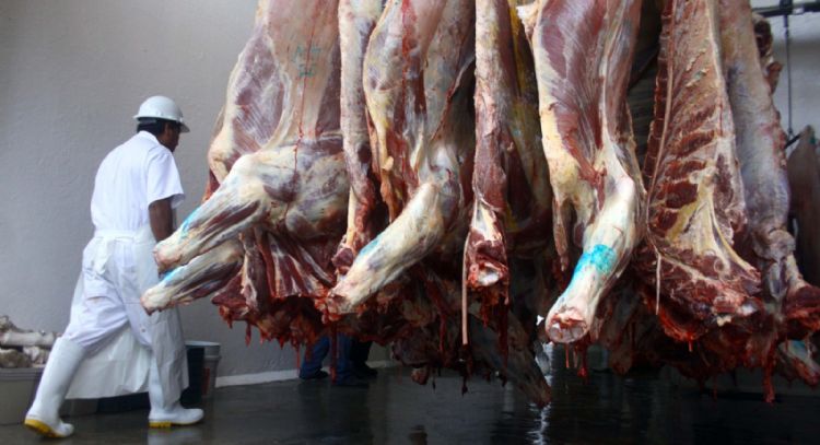 México expresa preocupación por etiquetado de EU a productos cárnicos, avícolas y de huev