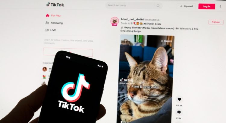 Investigan algoritmos de recomendación de YouTube, Snapchat y TikTok