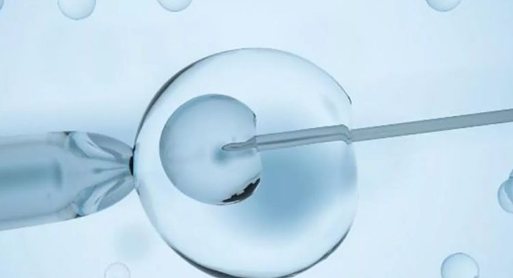 La fertilidad disminuye en todo el mundo... y la tendencia va a empeorar