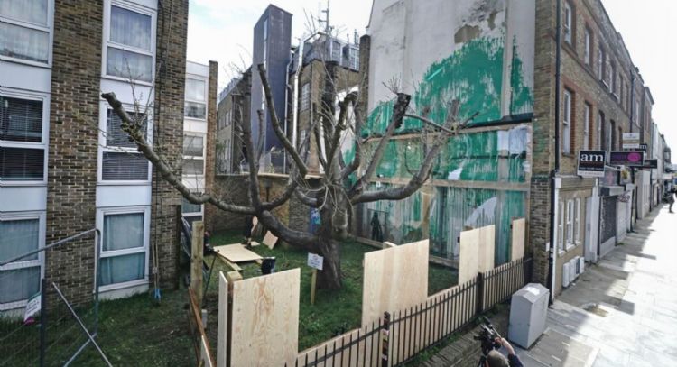 Mural de Banksy con árbol es cubierto tras aparente vandalismo