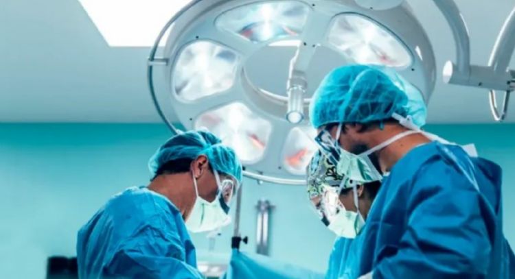 Realizan el primer trasplante de riñón de cerdo genéticamente modificado a un hombre de 62 años