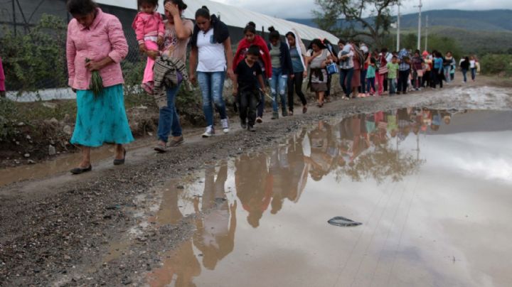 Ligan a autoridades locales en despojos y desplazamientos forzados de Veracruz y Chiapas
