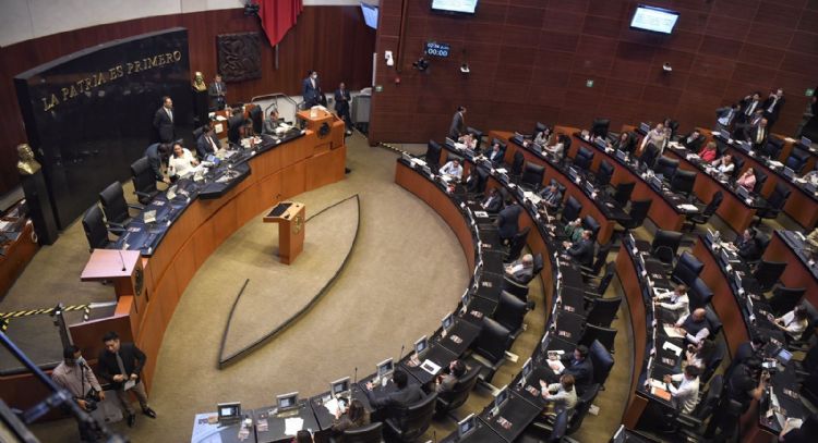 Senado aprueba salario base igualitario para deportistas profesionales; pasa a diputados