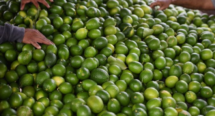 Los alimentos con vitamina C ayudan a aliviar las reacciones alérgicas. Esto dice una experta