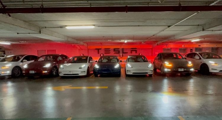 Más de cuatro mil autos Tesla deberán ser revisados; esto dice la Profeco