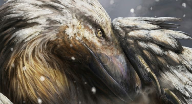 Cuando los primeros dinosaurios de sangre caliente habitaban la Tierra
