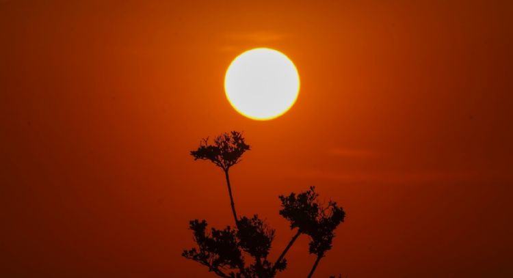 ¿Qué es el "domo de calor" y por qué causa temperaturas sofocantes en México?
