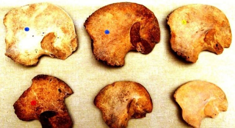 Mayas sacrificaban a niños y gemelos en Chichén Itzá, revela investigación de ADN