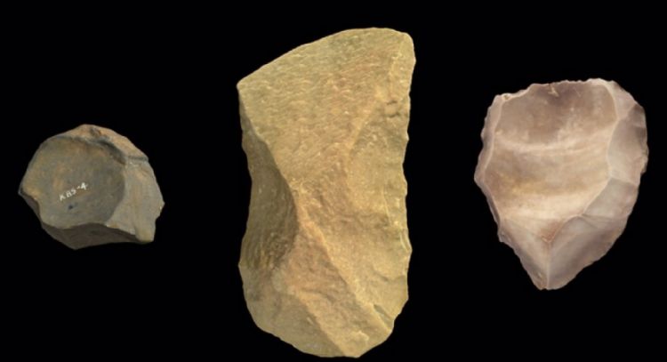 Los humanos llevamos 600 mil años acumulando conocimiento cultural