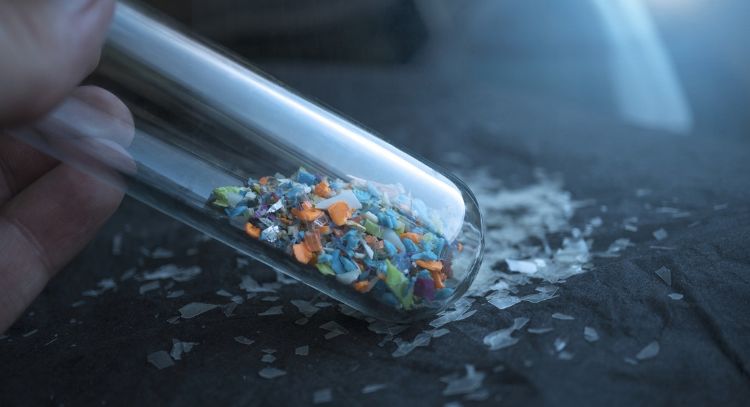 Científicos detectan microplásticos en penes