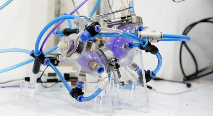 Así es el estómago artificial creado por la UNAM que es capaz de simular al órgano humano
