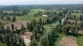Foto ilustrativa de la nota titulada: El futbol llanero devora las chinampas de Xochimilco (Video)