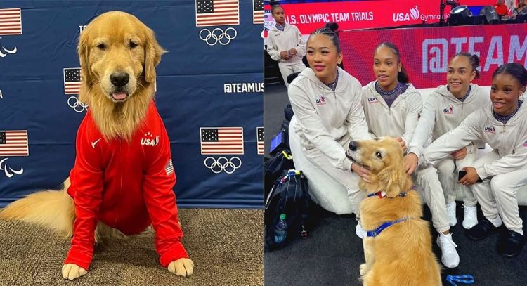 Beacon, el perro de terapia del equipo de gimnasia de Estados Unidos