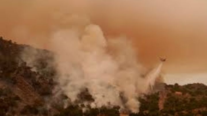 Persistente ola de calor en EU bate nuevos récords mientras abrasa el oeste y sofoca el este