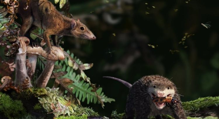 El estirón de la pubertad se remonta a hace 150 millones de años