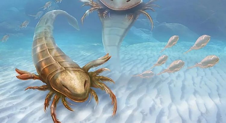 Los escorpiones marinos se hicieron gigantes al menos nueve veces