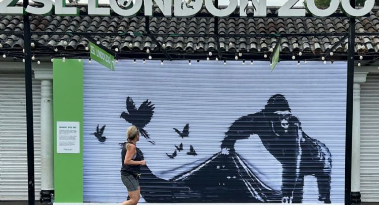 Zoológico de Londres retira mural de animales de Banksy para protegerlo