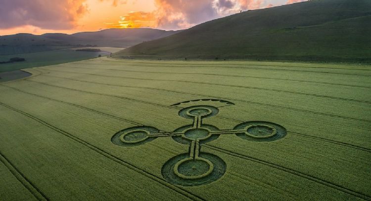 Computación: Sobre los círculos formados en los campos de trigo
