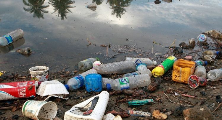 Hongos come plástico podrían ayudar al problema de la contaminación oceánica
