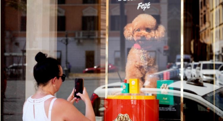 Dolce & Gabbana lanza perfume para perros, pero algunos veterinarios se muestran escépticos