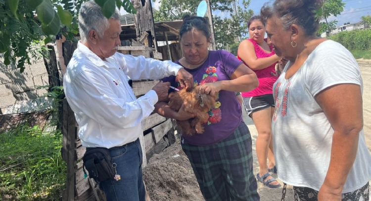 Aplicará la Secretaría de Salud más de 300 mil vacunas a mascotas