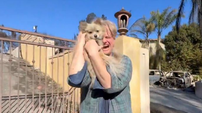 El perrito Oreo sobrevivió a los incendios en California y logró reencontrarse con su dueño (Video)