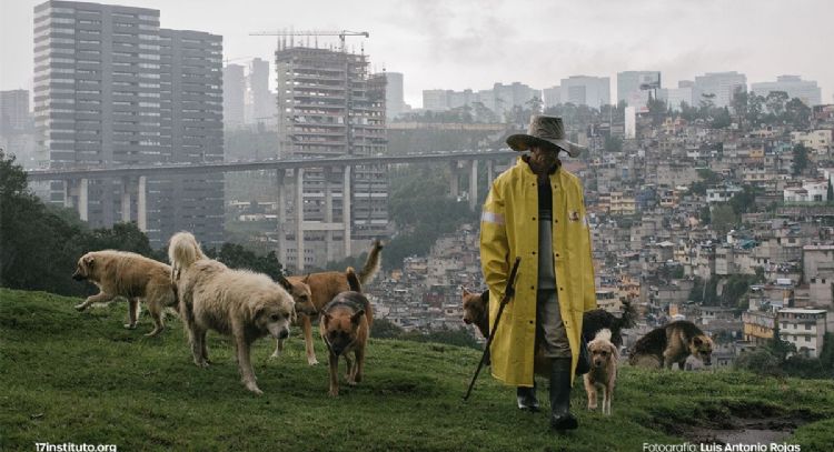 Sustentabilidad de “megaciudades” y su impacto ambiental será discutido en foro