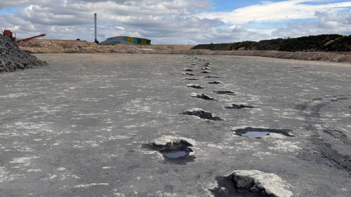 Descubren 200 huellas de dinosaurios de 166 millones de años de antigüedad