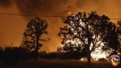 Ascienden a más de 80 mil los evacuados en Los Ángeles por incendios que avanzan sin control