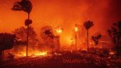 La devastación de los incendios forestales en California (Fotogalería)