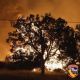 Ascienden a más de 80 mil los evacuados en Los Ángeles por incendios que avanzan sin control