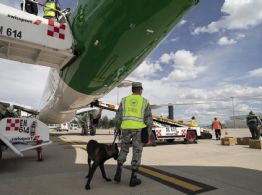 Huachicol fiscal: Con López Obrador despegó la red de corrupción que hundió las ventas de Pemex